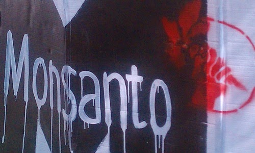 Reclaman a Scioli que exhiba las declaraciones de impacto ambiental de las plantas de Monsanto